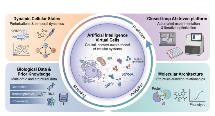 IBME researchers publish roadmap for AI-powered virtual cells in Cell Press