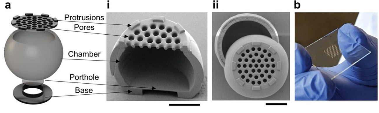 Nanoformulation Methods Nanoformulation & Characterisation – IBME